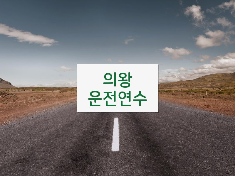 의왕운전연수 후기
