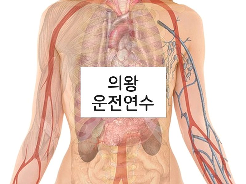 의왕운전연수 후기