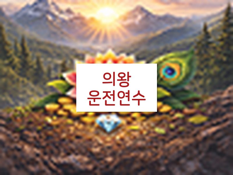의왕운전연수 후기