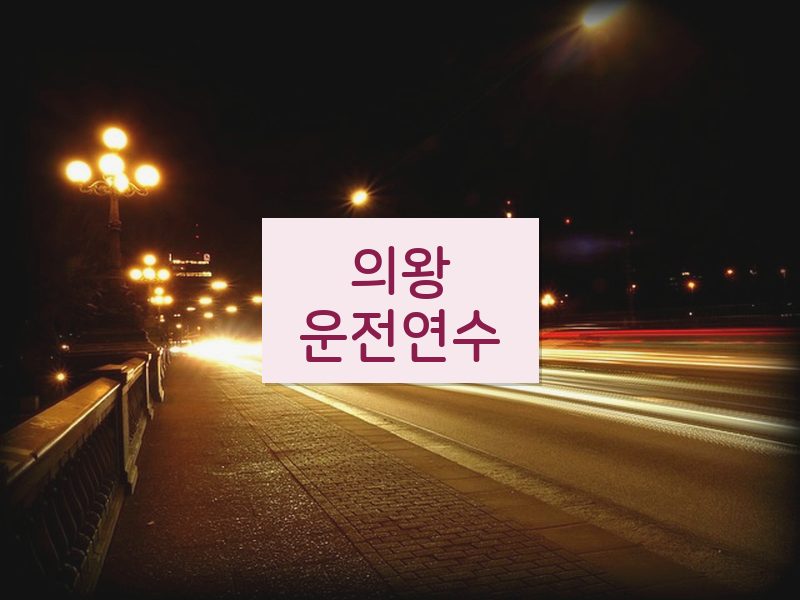 의왕운전연수 후기