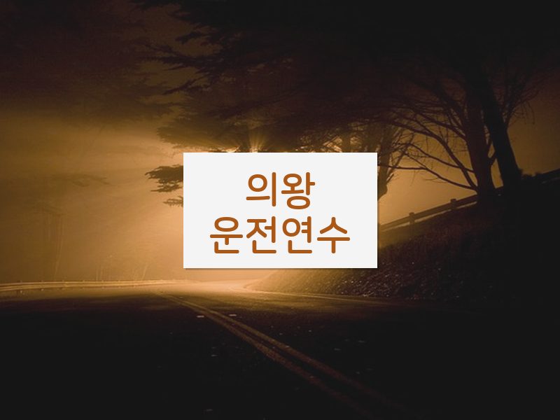 의왕운전연수 후기