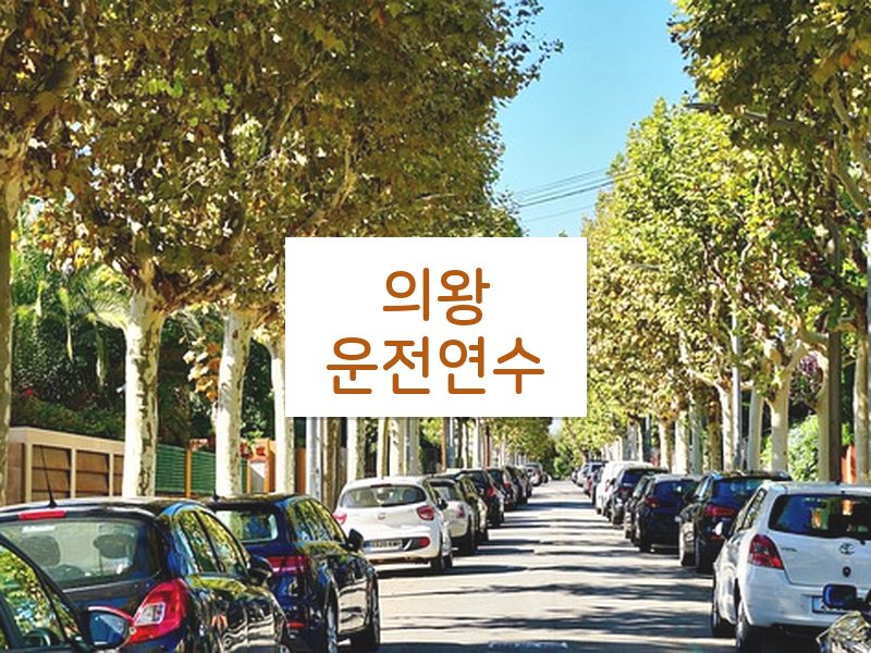 의왕운전연수 후기