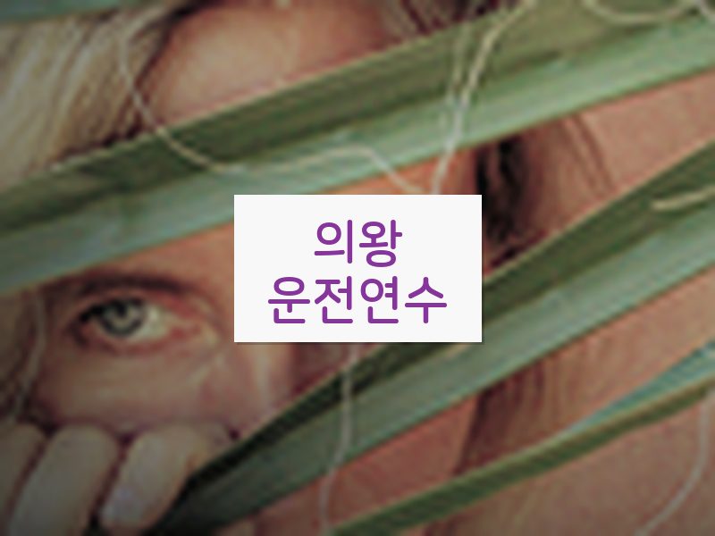의왕운전연수 후기