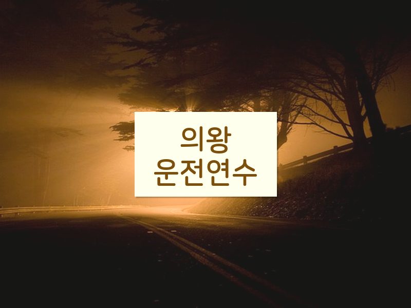 의왕운전연수 후기