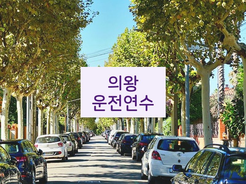 의왕운전연수 후기