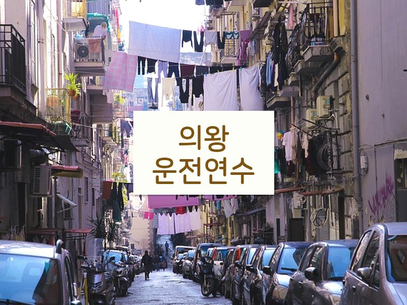 의왕운전연수 후기