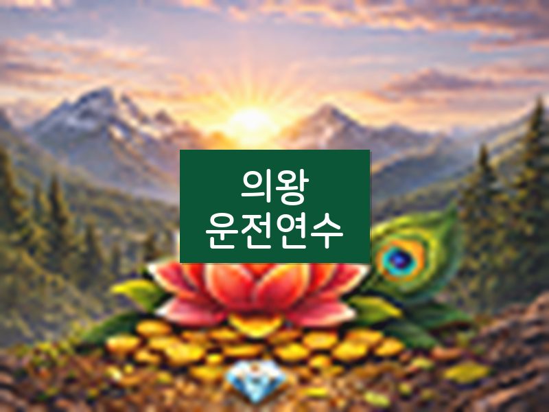 의왕운전연수 후기