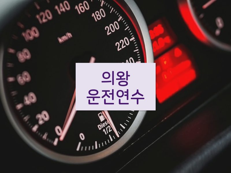 의왕운전연수 후기
