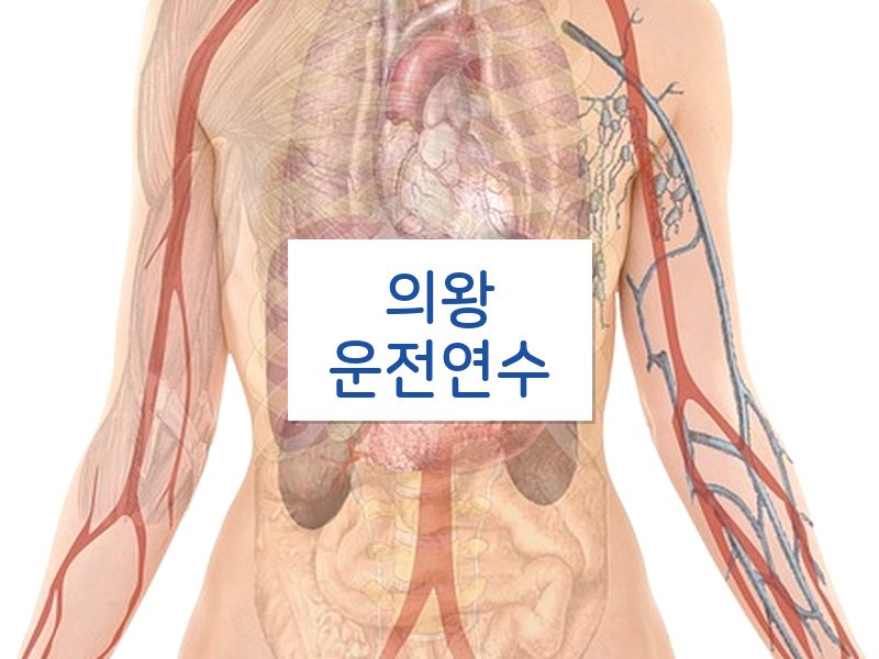 의왕운전연수 후기