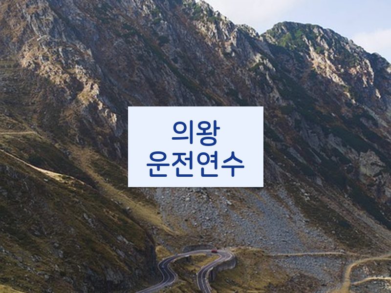 의왕운전연수 후기