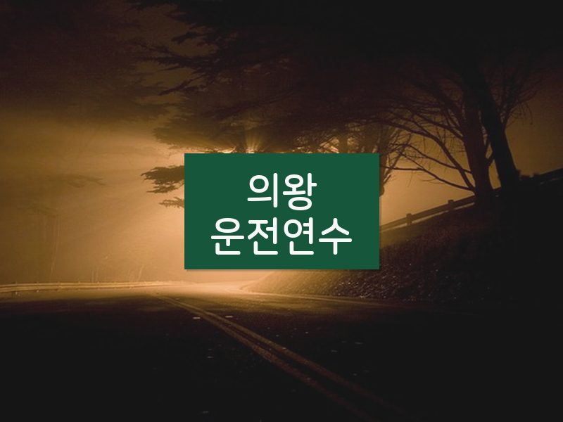 의왕운전연수 후기