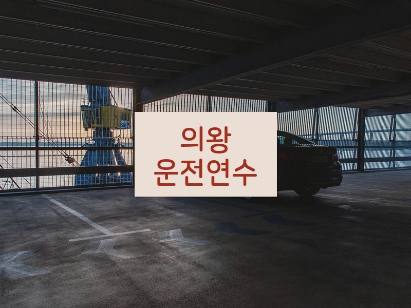 의왕운전연수 후기