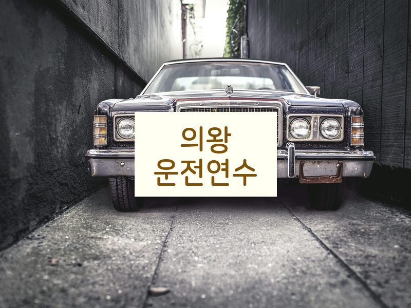 의왕운전연수 후기