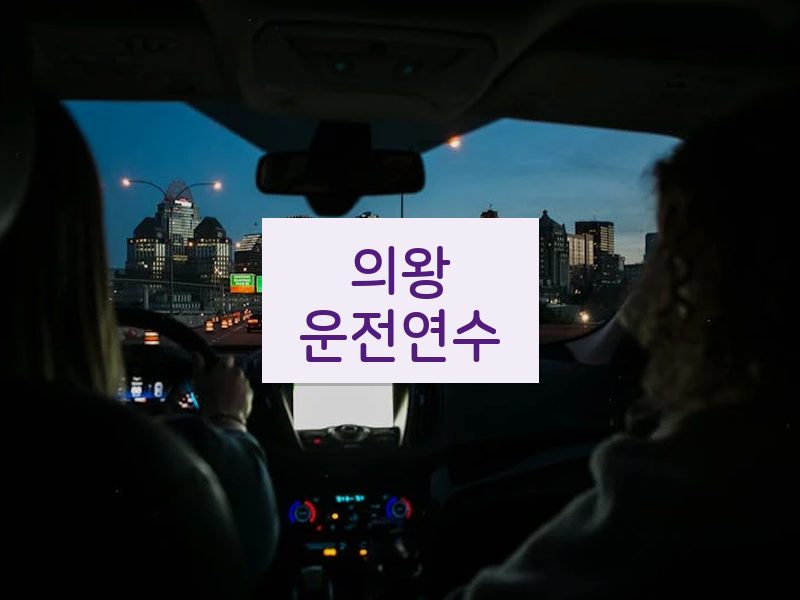 의왕운전연수 후기