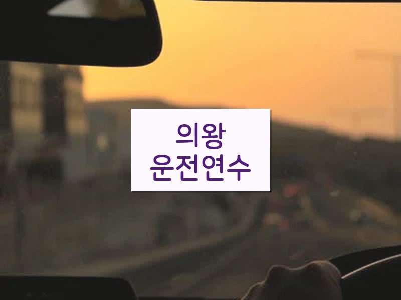 의왕운전연수 후기