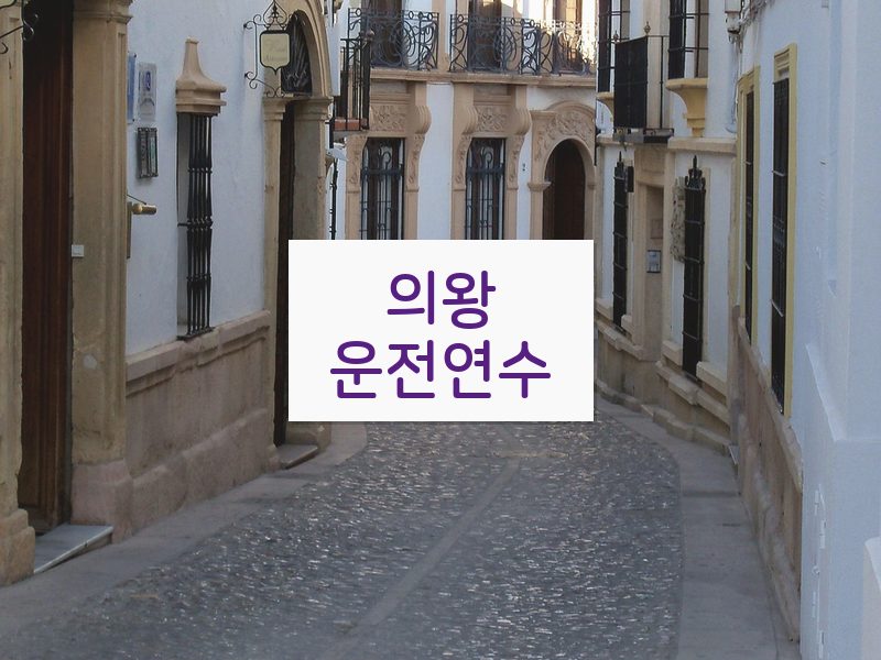 의왕운전연수 후기