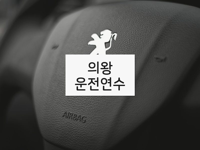 의왕운전연수 후기