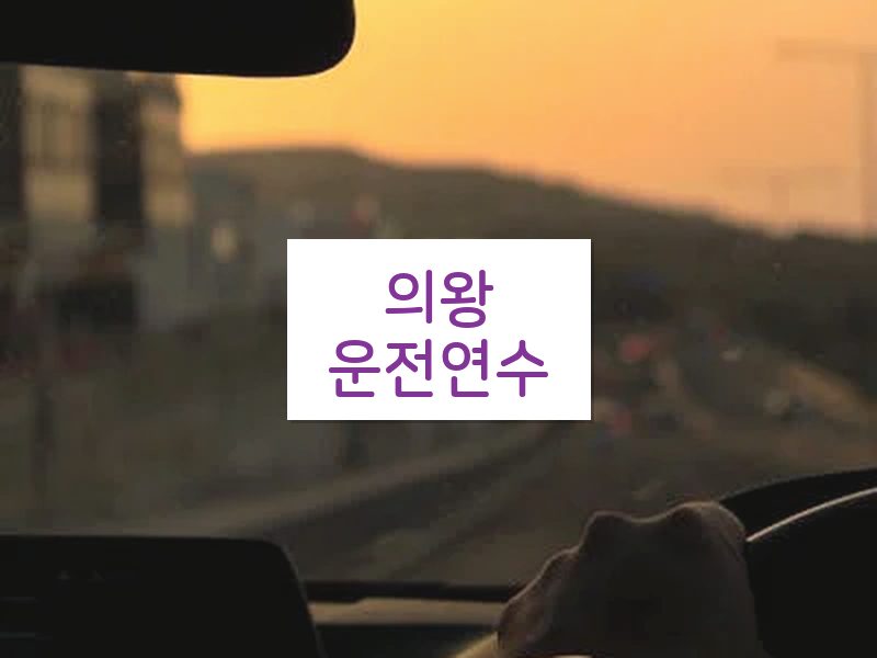 의왕운전연수 후기