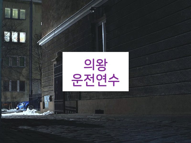 의왕운전연수 후기