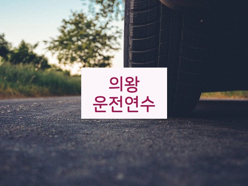 의왕운전연수 후기
