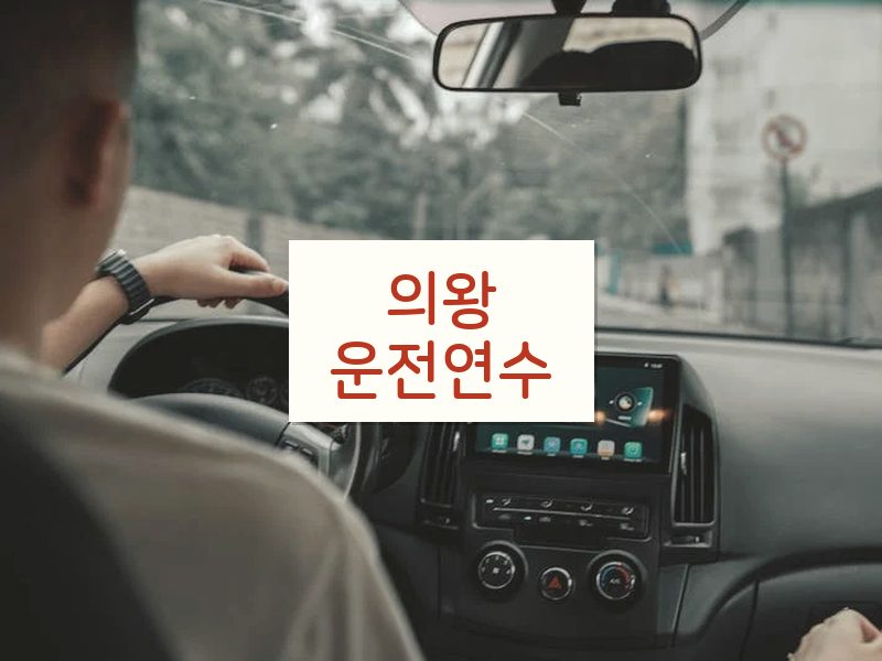 의왕운전연수 후기
