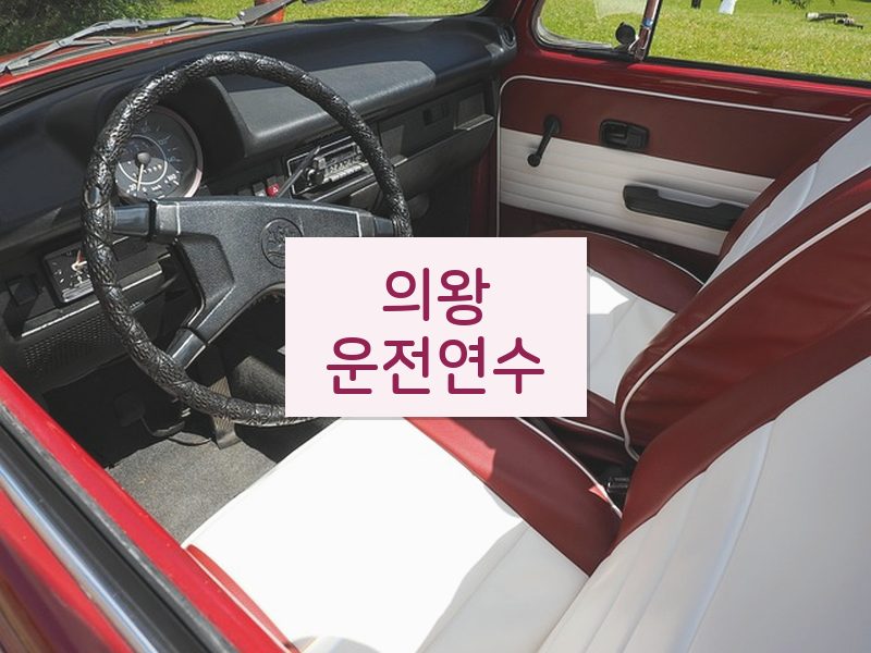 의왕운전연수 후기