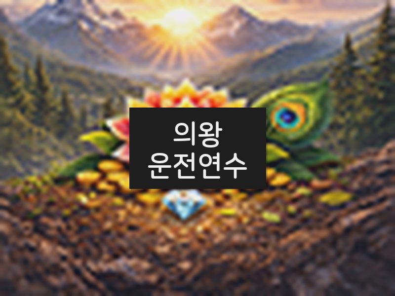 의왕운전연수 후기