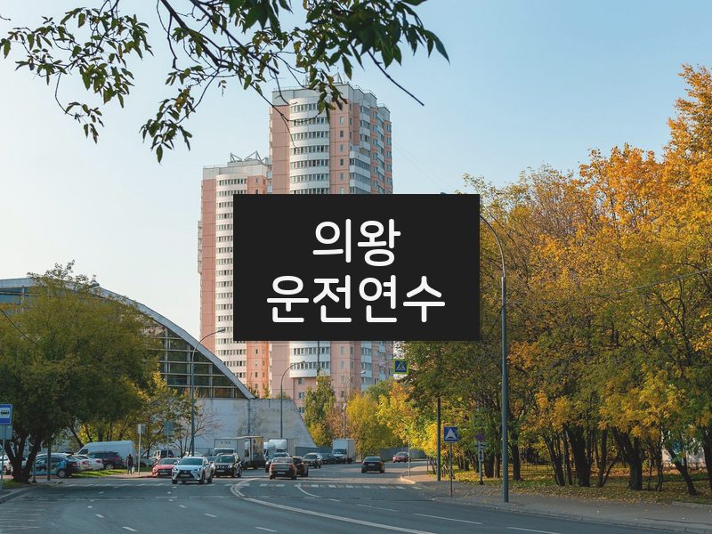 의왕운전연수 후기