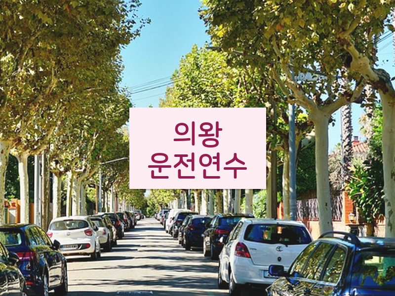 의왕운전연수 후기