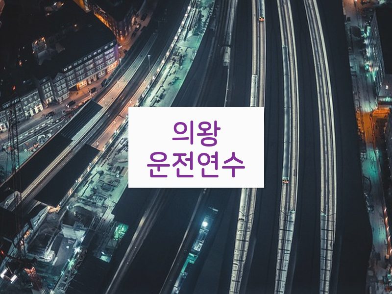 의왕운전연수 후기