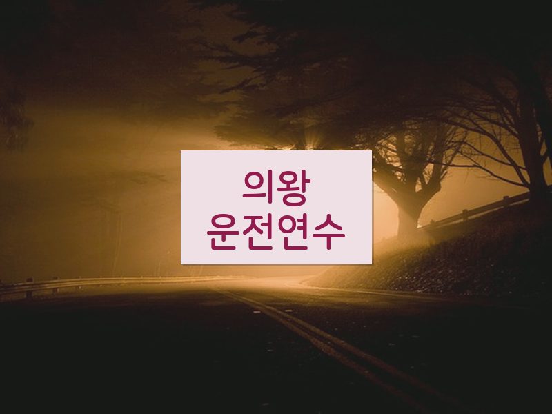 의왕운전연수 후기