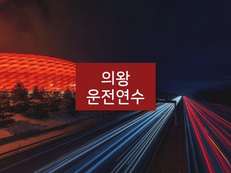 의왕운전연수 후기