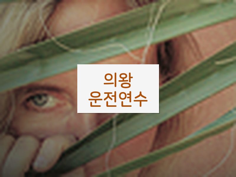 의왕운전연수 후기
