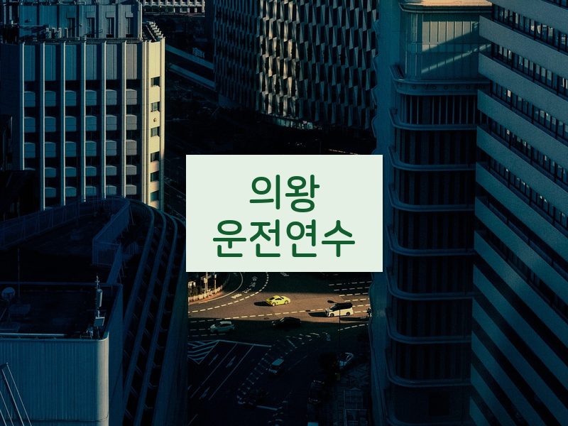 의왕운전연수 후기
