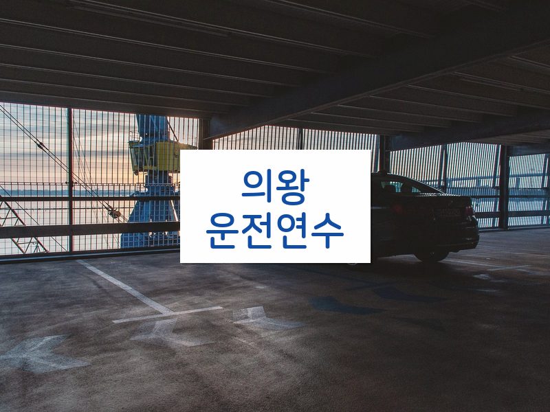 의왕운전연수 후기