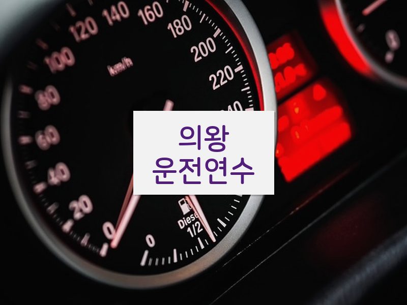 의왕운전연수 후기