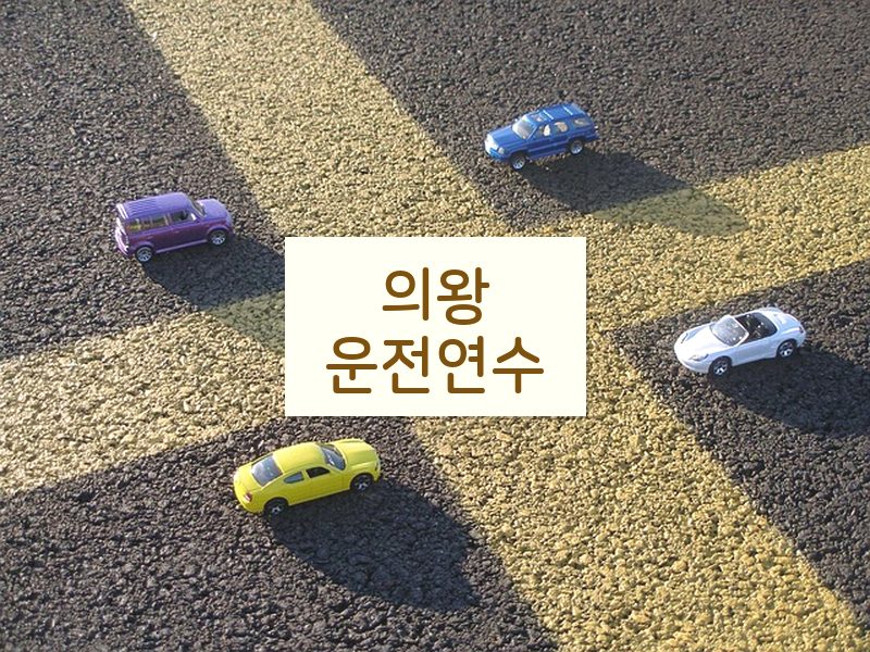 의왕운전연수 후기