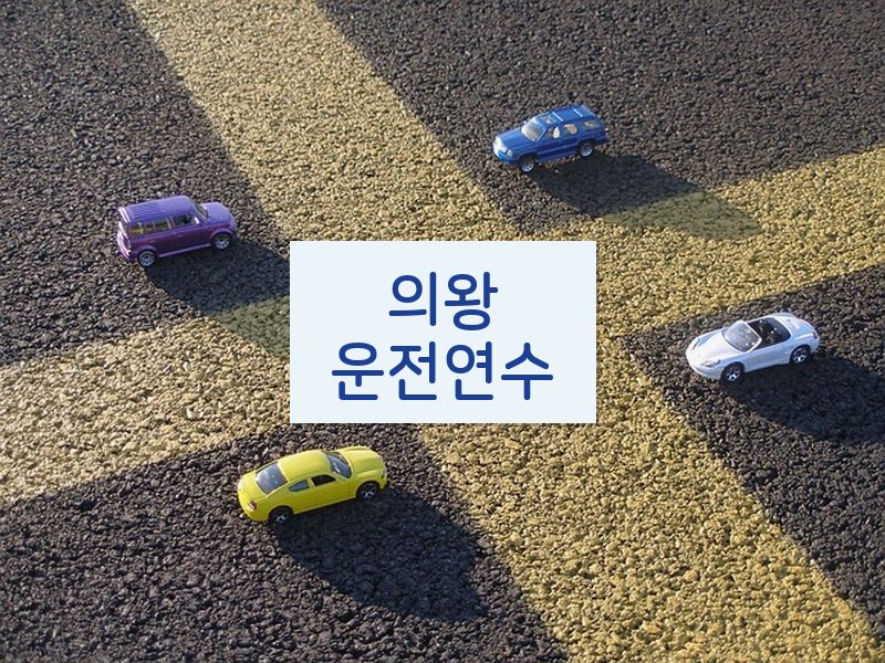 의왕운전연수 후기