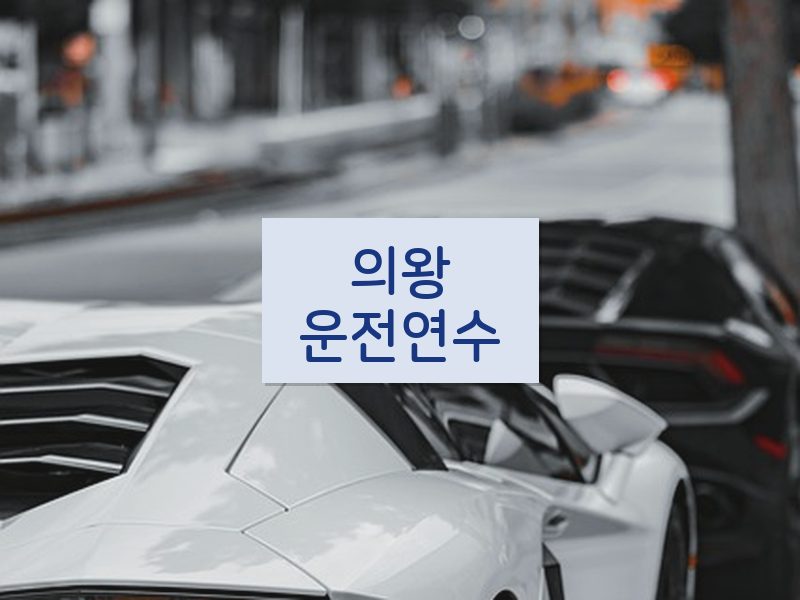 의왕운전연수 후기