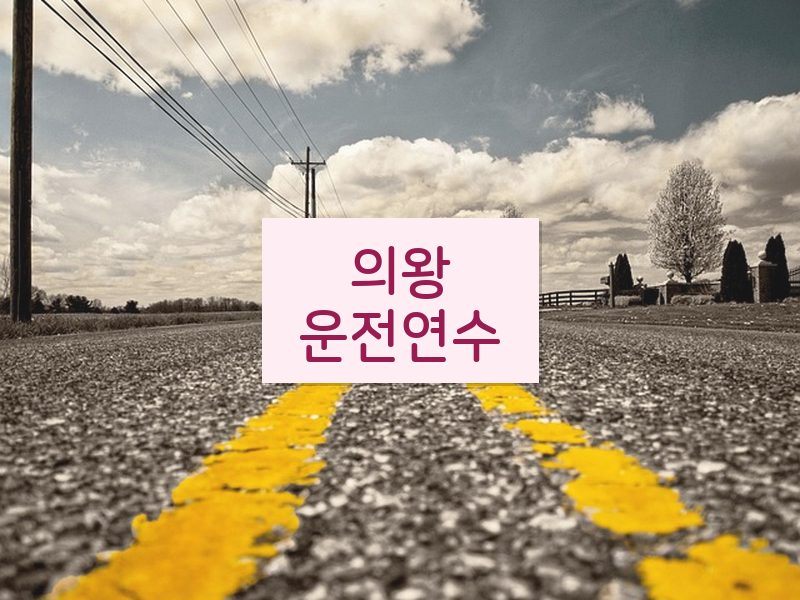 의왕운전연수 후기