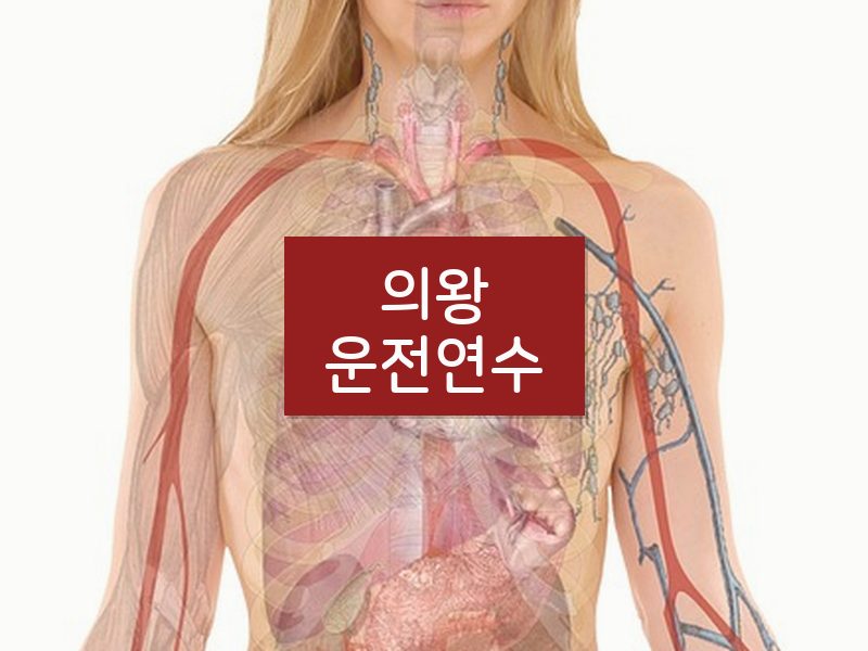 의왕운전연수 후기