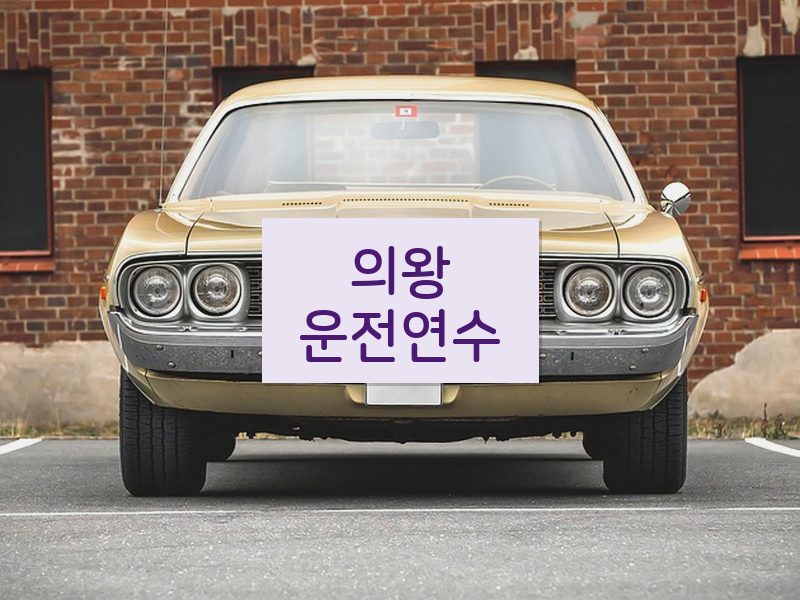 의왕운전연수 후기
