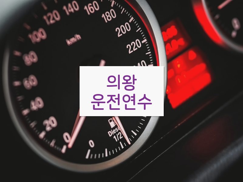 의왕운전연수 후기