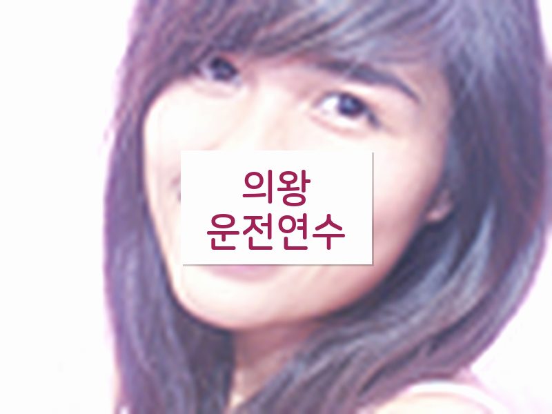 의왕운전연수 후기
