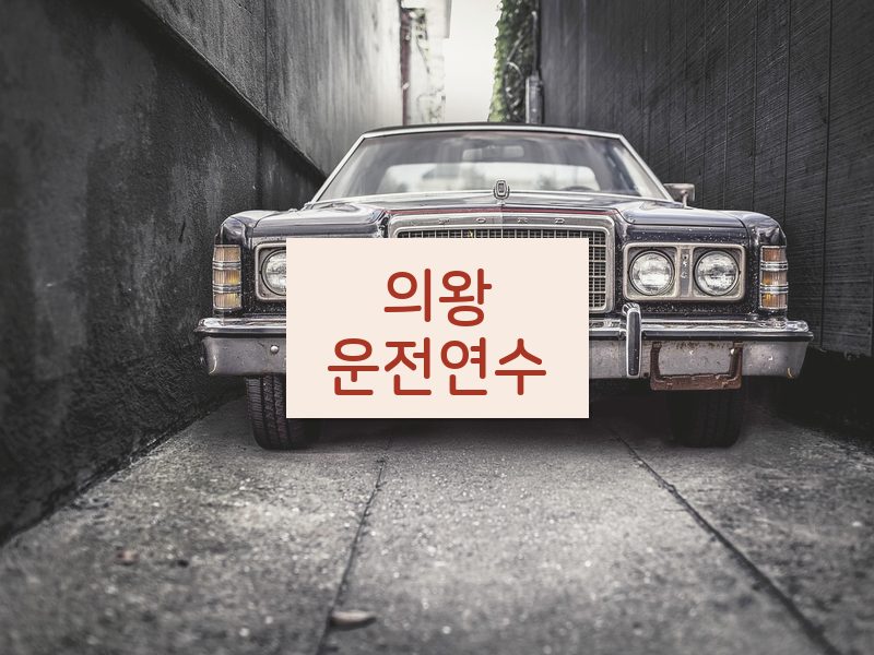 의왕운전연수 후기