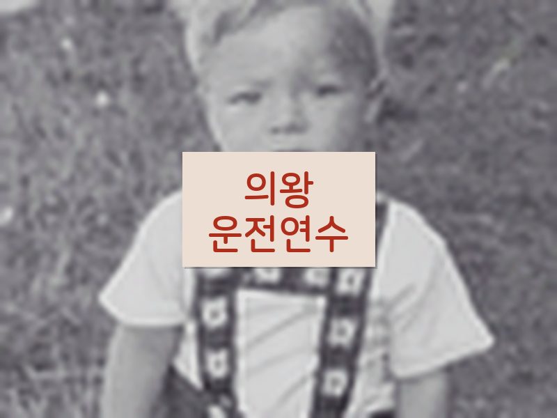 의왕운전연수 후기