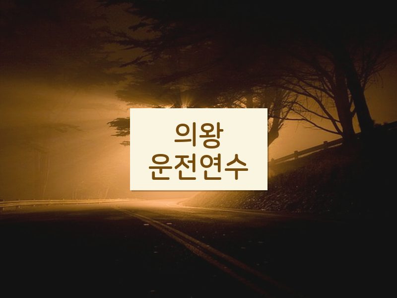 의왕운전연수 후기