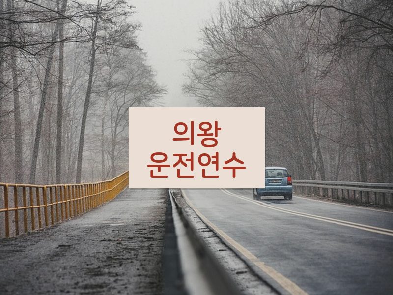 의왕운전연수 후기
