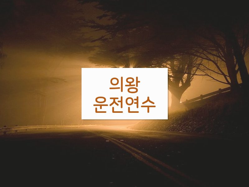 의왕운전연수 후기
