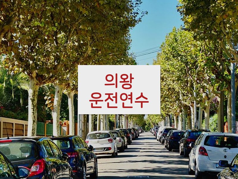 의왕운전연수 후기